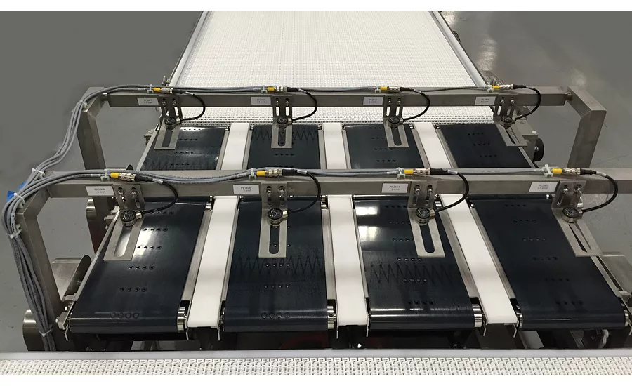 Multi-Conveyor Servo Smart belt