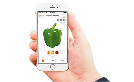 Handshake ecommerce app