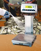 Alliance Scale CAS Enduro Extreme Washdown Checkweigher