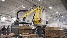 Delkor Robotic palletizing system