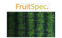 FruitSpec Yield Estimation Solution 