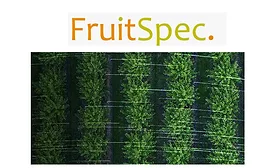 FruitSpec Yield Estimation Solution 