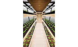 GrowPod