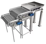 Key Tech Precision Size Grader for Green Beans