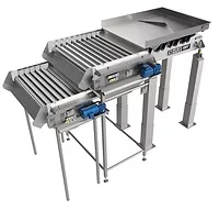Key Tech Precision Size Grader for Green Beans