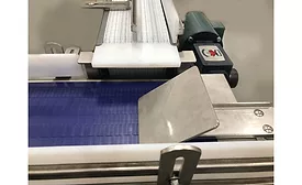Multi-Conveyor pet food conveyor