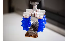 Soft Robotics mGrip 