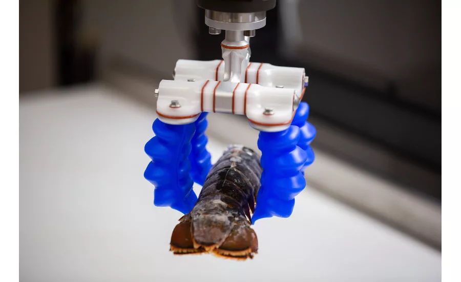 Soft Robotics mGrip 