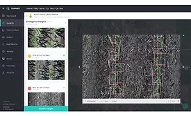 Taranis Aerial Imagery Insights