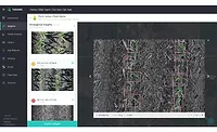 Taranis Aerial Imagery Insights