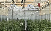 UbiQD UbiGro greenhouse