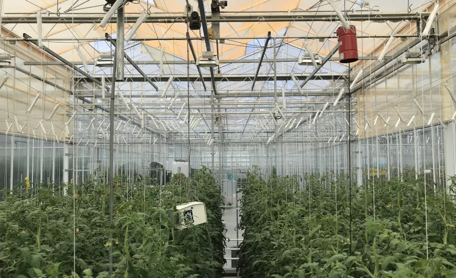 UbiQD UbiGro greenhouse