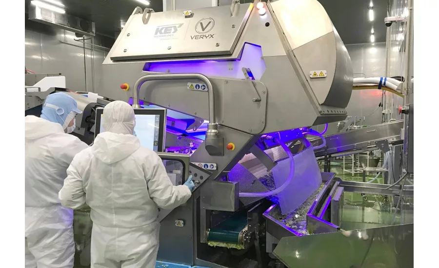 VERYX-digital-sorters-for-fresh-cut-leafy-greens
