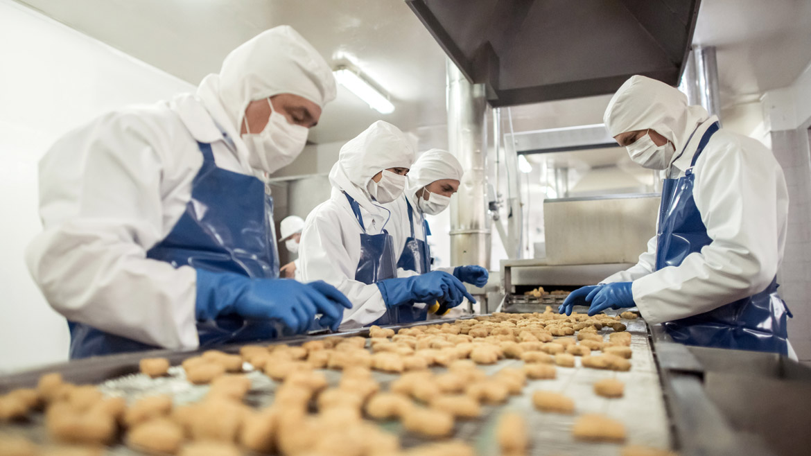 food production line