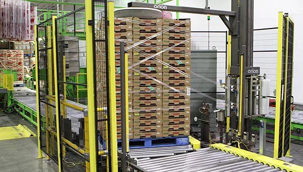 Driscoll's pallet wrapping