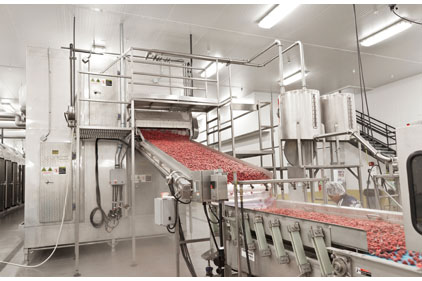 Gea Iqf Tunnel Freezer Helps Enfield Farms Reduce Costs 2013 01 10 Refrigerated Frozen Food