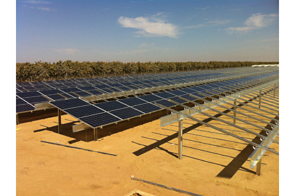 REC Solar Vignolo Farms