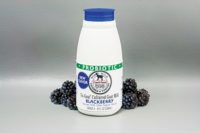 Coach Farm blackberry yogurt