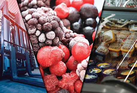 Refrigerated & Frozen Foods