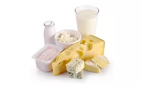 dairy