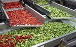 Meyer-Magna-Weigh-conveyor
