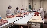 Rastelli Foods plant 5093