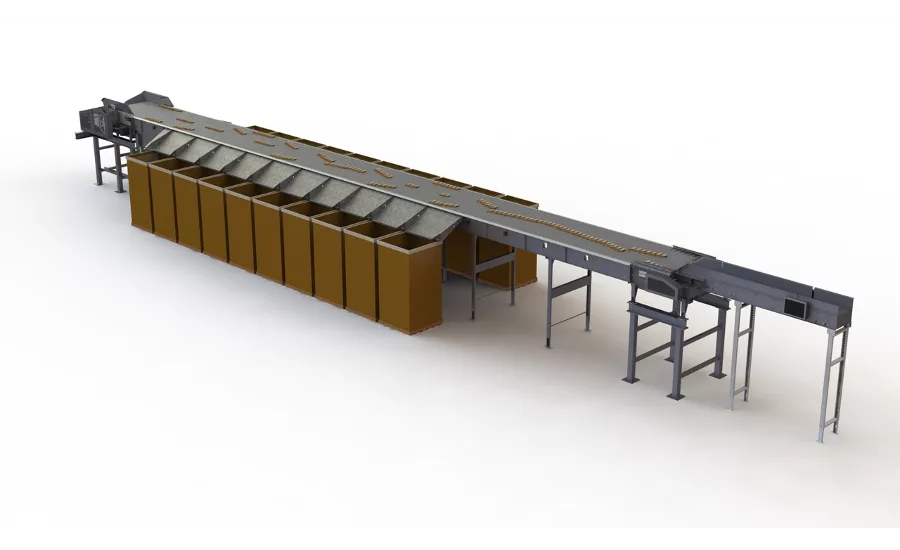 Intelligrated shoe sorter