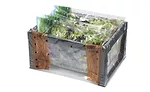 Eco Pack Fresh Cut