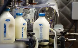 Straus Family Creamery photo