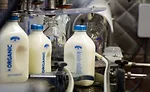 Straus Family Creamery photo