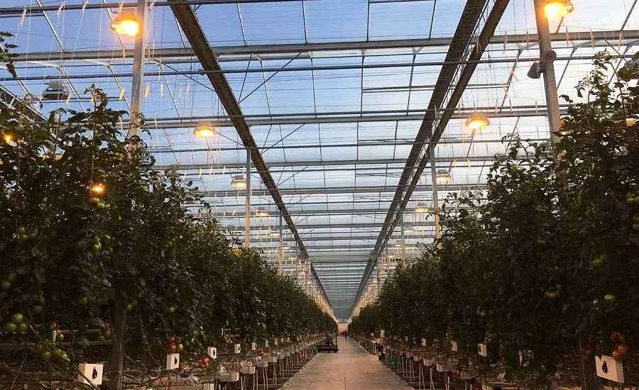 NatureFresh Farms Delta HPS Lights