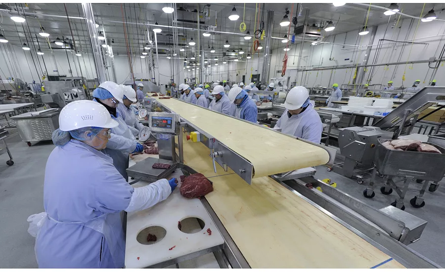 8983 WLF steak in trimming station