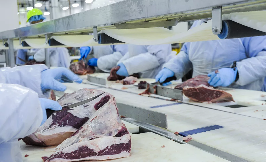 9167 WLF steak in trimming station 2