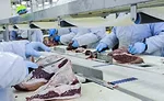 9167 WLF steak in trimming station 2