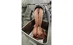 9451 WLF ground beef former