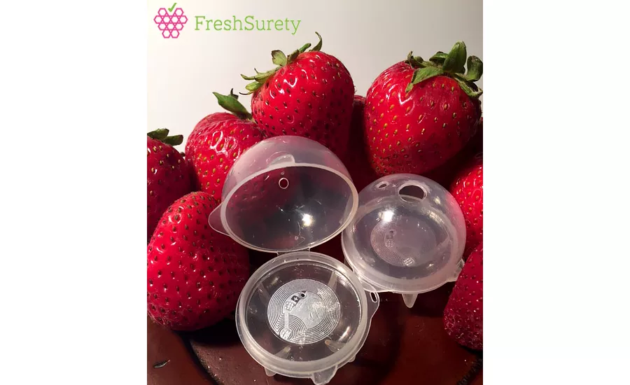 FreshSurety strawberries