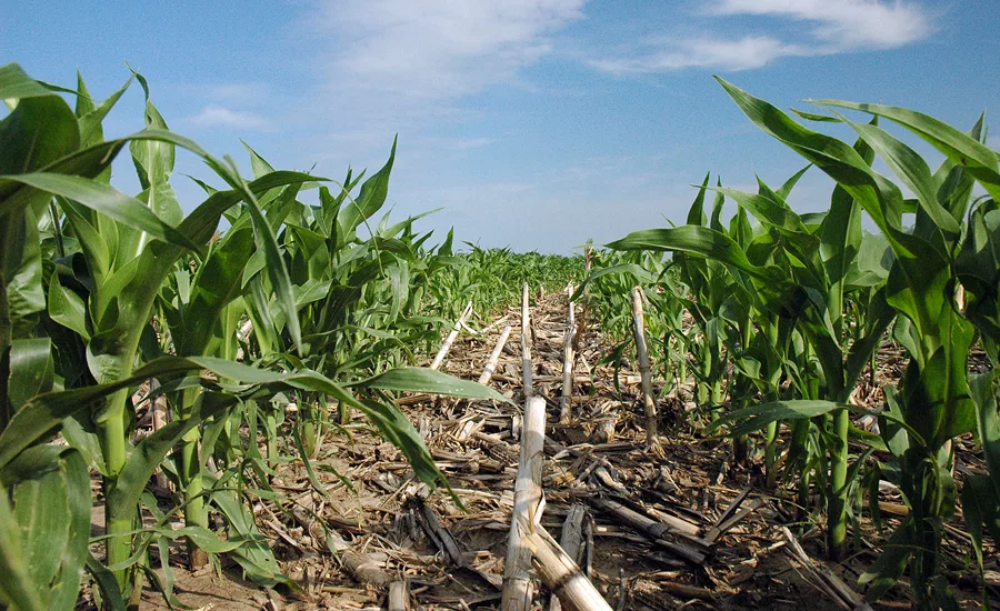 General Mills soil health USDA