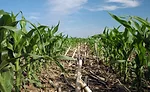 General Mills soil health USDA