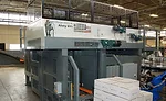 Intelligrated Alvey palletizer