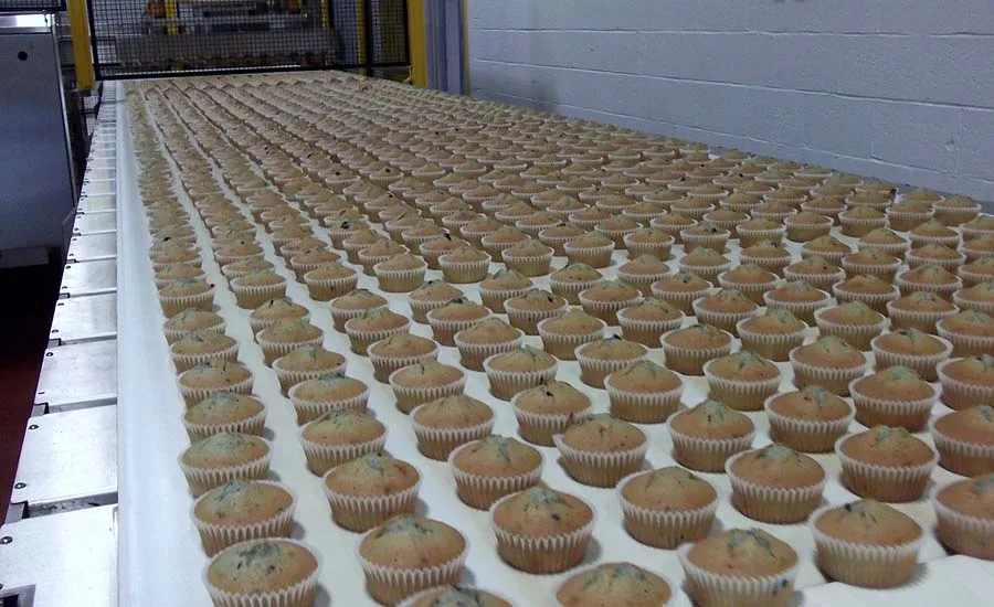 Muffin Town Lawrence facility