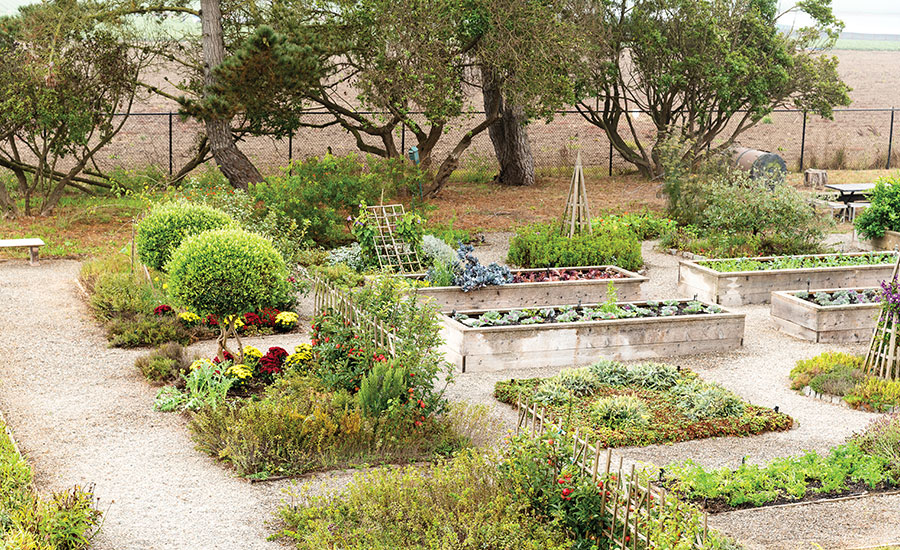 garden