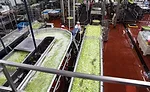 001-RFF-Plantlead-OCEP3179-900x550.jpg
