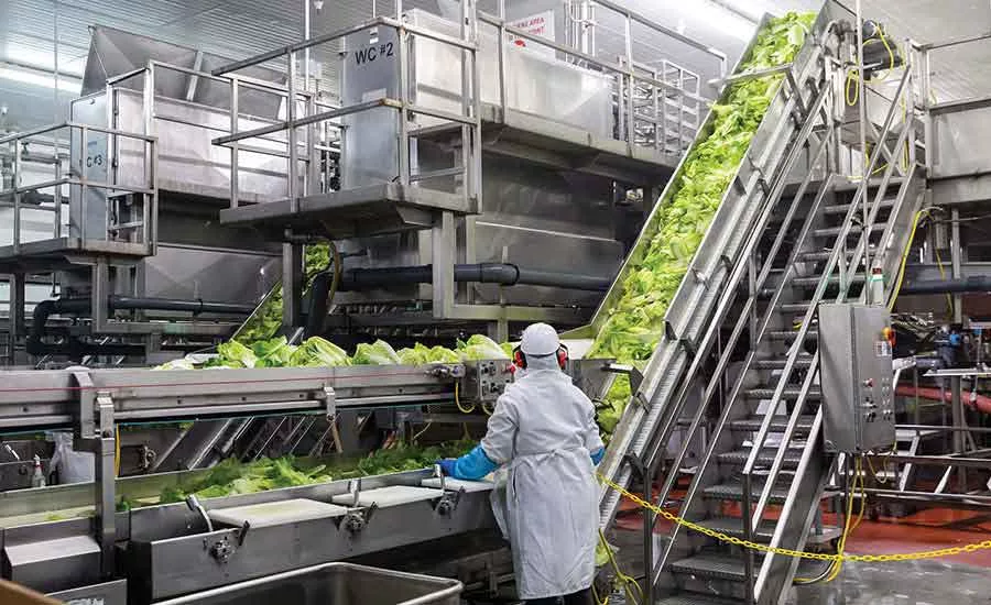 002-RFF-Plant-OCEP3194-900x550.jpg