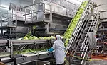 002-RFF-Plant-OCEP3194-900x550.jpg