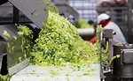 Produce