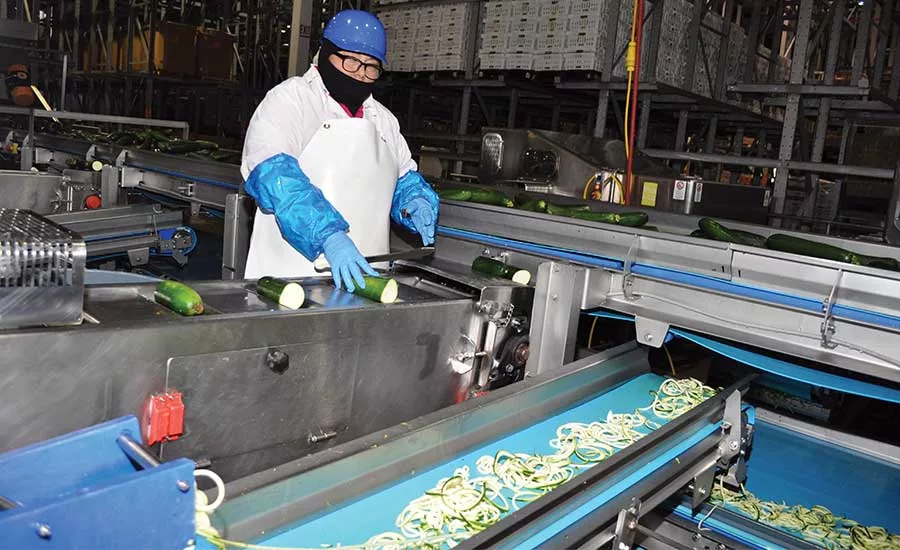 cut zucchini