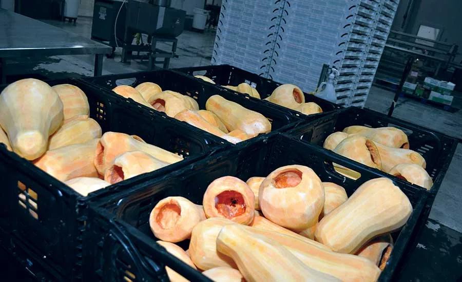 butternut squash
