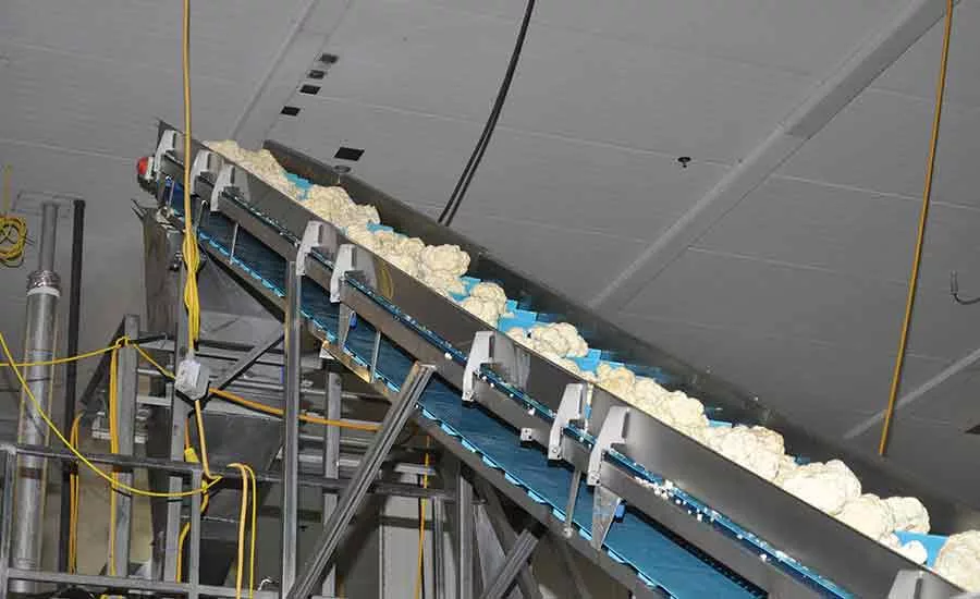 Cauliflower heads