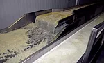 riced cauliflower