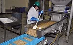 Riced Cauliflower Stuffing